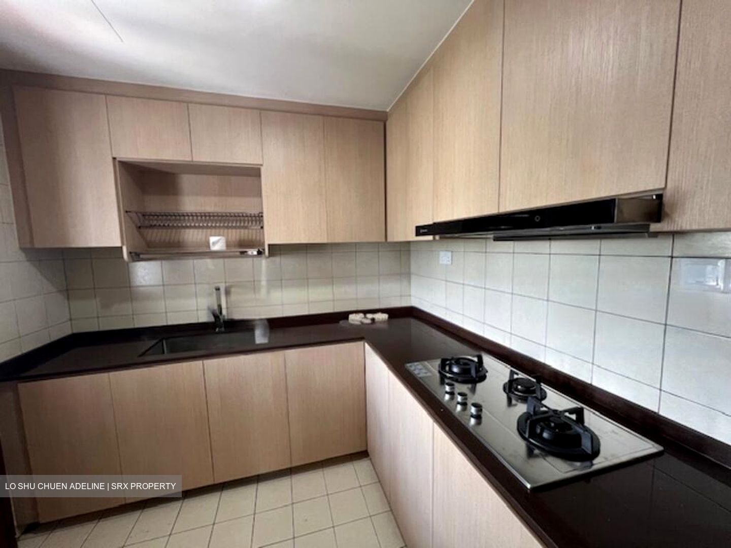 Carissa Park Condominium (D17), Condominium #460847731